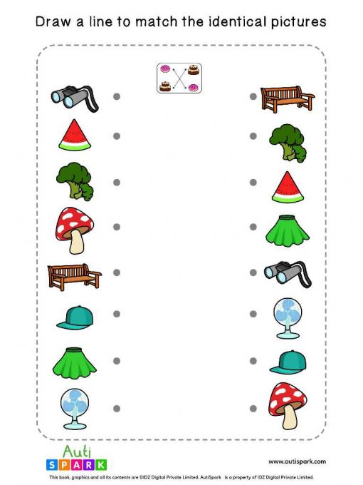 Circle Pictures By Characteristics #04 – Sorting Worksheet - AutiSpark