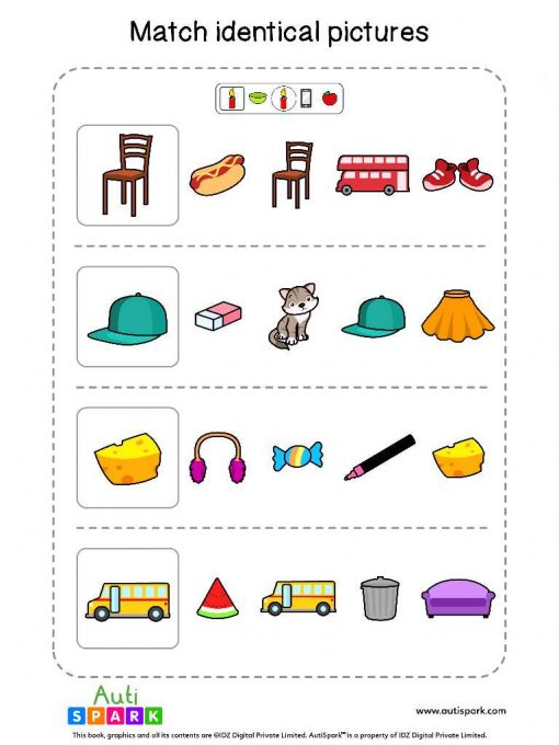 Circle Pictures By Characteristics #06 – Sorting Worksheet - AutiSpark