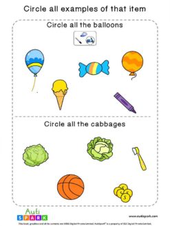 Circle The Objects | Worksheets By - AutiSpark
