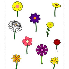 Circle Pictures By Characteristics #04 – Sorting Worksheet - AutiSpark